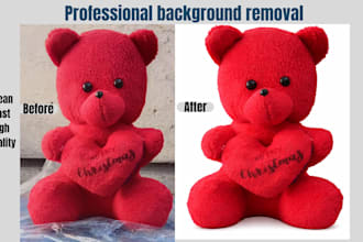 remove image background professionally