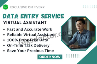 be your reliable virtual assistant for data entry and admin support