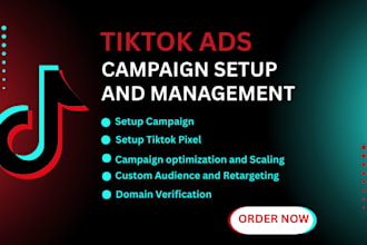 run successful tiktok ads campaign, tiktok ads manager, tik tok marketing