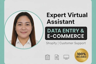 provide expect data entry and ecommerce customer support