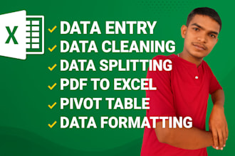 excel data entry, excel data cleaning and, data cleanup
