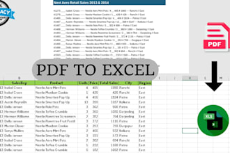 convert PDF or scanned images to excel accurately