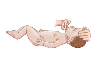 illustrate clean medical and science diagrams for education