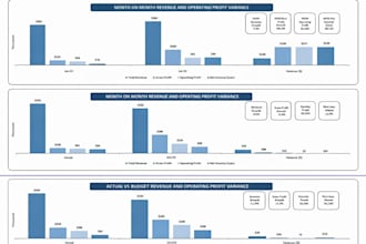 build an investor ready financial model with forecasting and cash flow