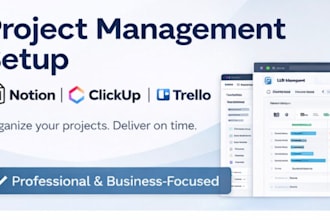 build and organize your clickup workspace for your business