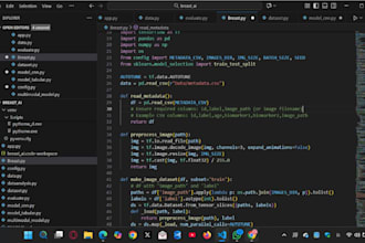 do data visualization, ai tool implementation and prompt engineering