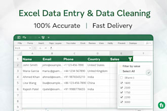 do excel data entry, data cleaning and spreadsheet work