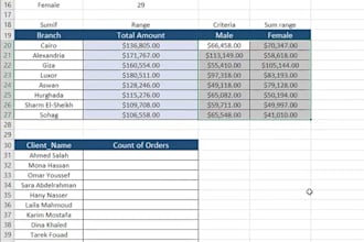 analyze, clean, excel data using formulas, lookup and pivot table