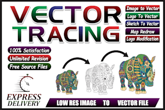 do professional vector tracing and logo redraw