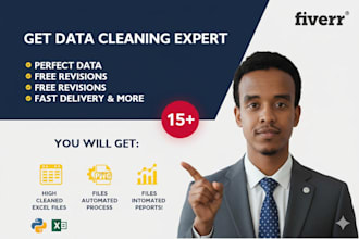 professionally clean, format, and automate your excel data