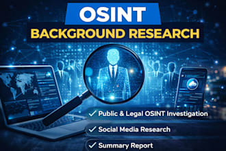 perform professional osint research and data investigation