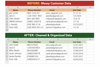 clean, organize, and format excel or CSV data professionally