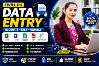 do excel data entry, copy paste, and website data entry