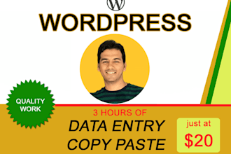 do wordpress data entry, blog posting and content upload