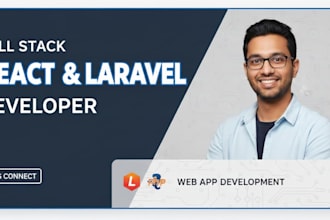 develop a professional laravel web application