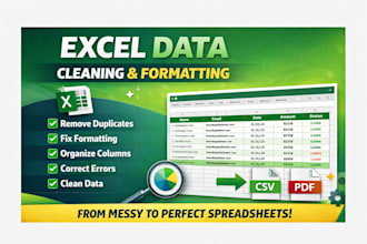 data cleaning, microsoft excel , data formatting, data entry