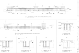 do professional rebar detailing, shop drawings, bbs