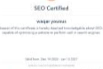 provide expert SEO and GEO services to rank you in ai search