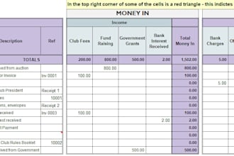 manage bookkeeping, bank reconciliation, and financial reports
