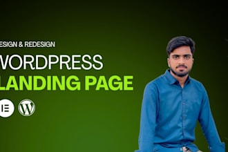 create a professional wp landing page for your business