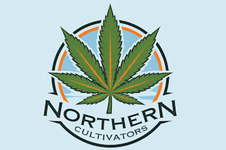 create a unique natural logo design