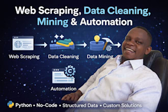 do data scrapping, cleaning, mining, web automation using python and  no code