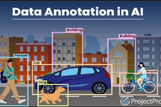 do data annotation and labelling