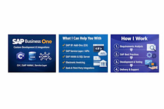 integrate sap business one with apis, hana sql and net