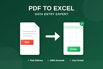 convert PDF to excel with accurate data entry