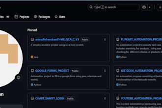 do manual and automation testing with detailed bug reports
