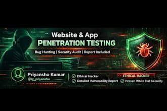 perform professional web application penetration testing and bug hunting