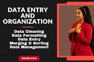 do data entry and data organization quickly and accurately