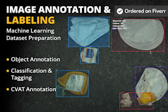 custom image annotation and segmentation for ai and machine learning