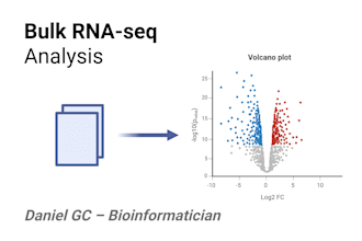 analyze your bulk rna seq data and deliver clear, publication ready results