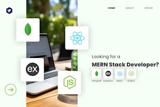 be a professional mern stack developer