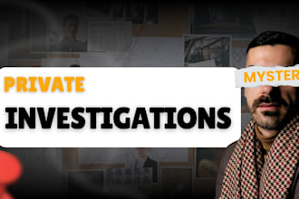 do professional private investigator and background check services