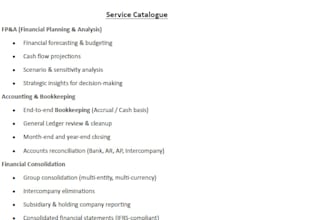 provide fractional cfo services