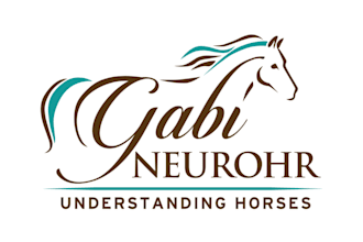 do unique horse logo and redesign your equestrian brand