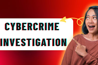 do professional cybercrime investigator and criminal background check