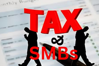handle US tax filing, irs notices, and amended returns