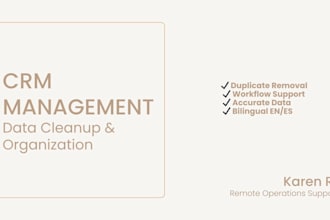 clean, manage and organize your salesforce or CRM system
