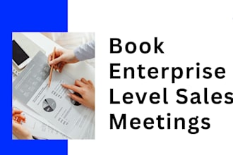 get b2b sales appointments with enterprise clients with cold email and cold call