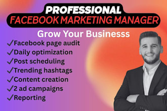 do facebook marketing manager and business promotion
