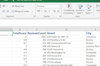 provide USA business leads from google maps in excel