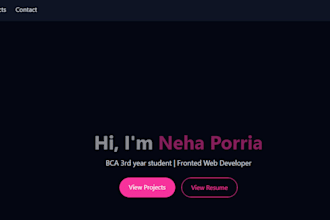 design a professional portfolio website