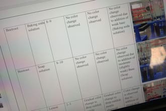 proofread l edit assignments l academic formatting