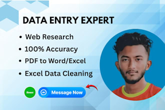 expert data entry and excel data cleaning formatting