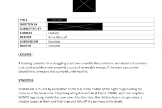 provide professional screenplay notes and story feedback