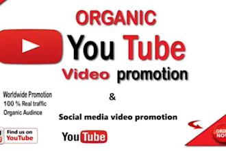 do youtube video and social media video promotion