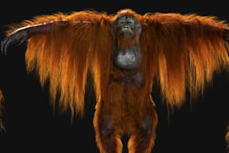 mold 3d orangutan for animation,biological animation,furry character,blender rig